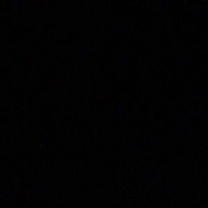 Meet your Posher, Maddy